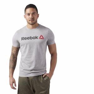 Koszulki Męskie Reebok Linear Read Szare PL 07GKQCM